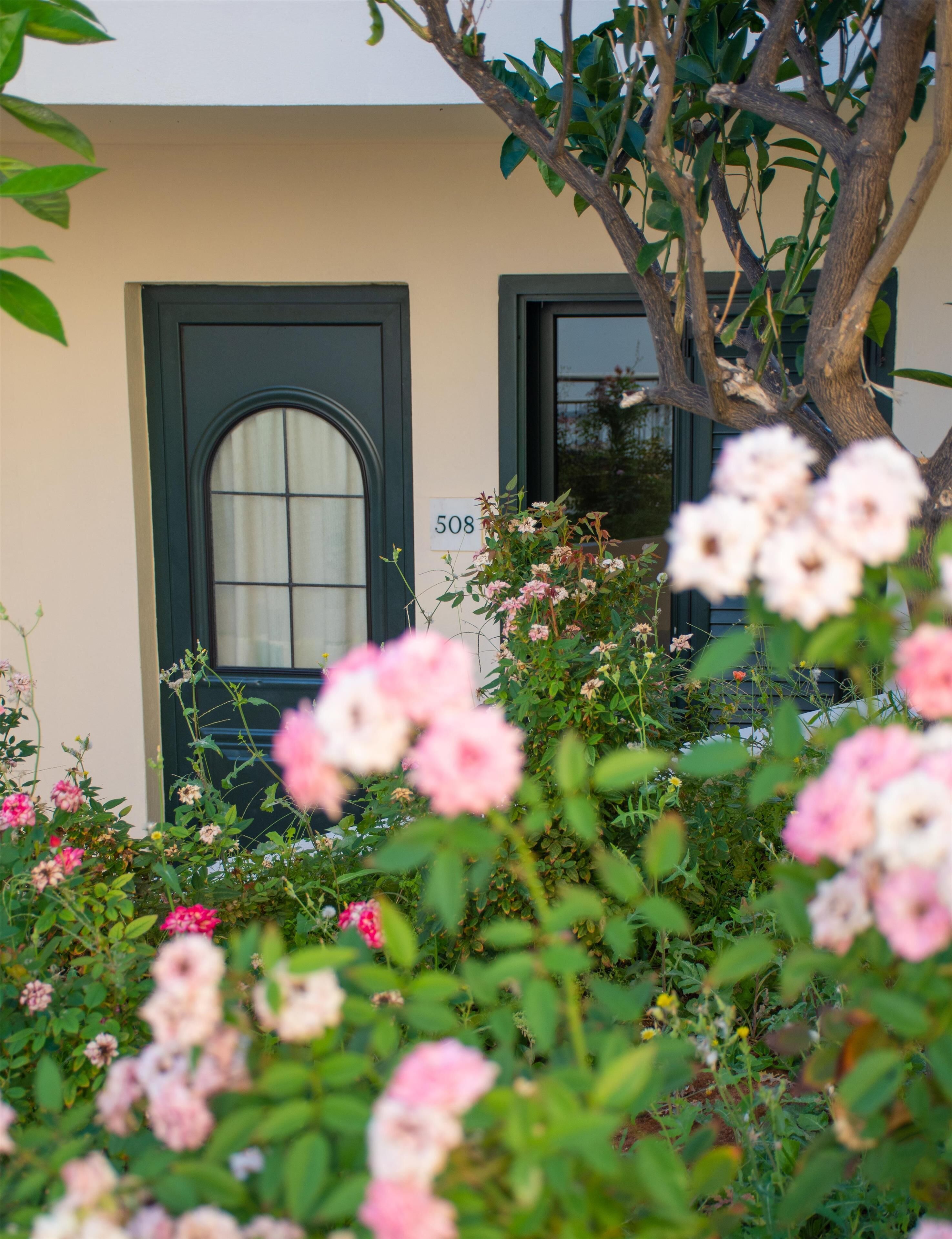 Jardin