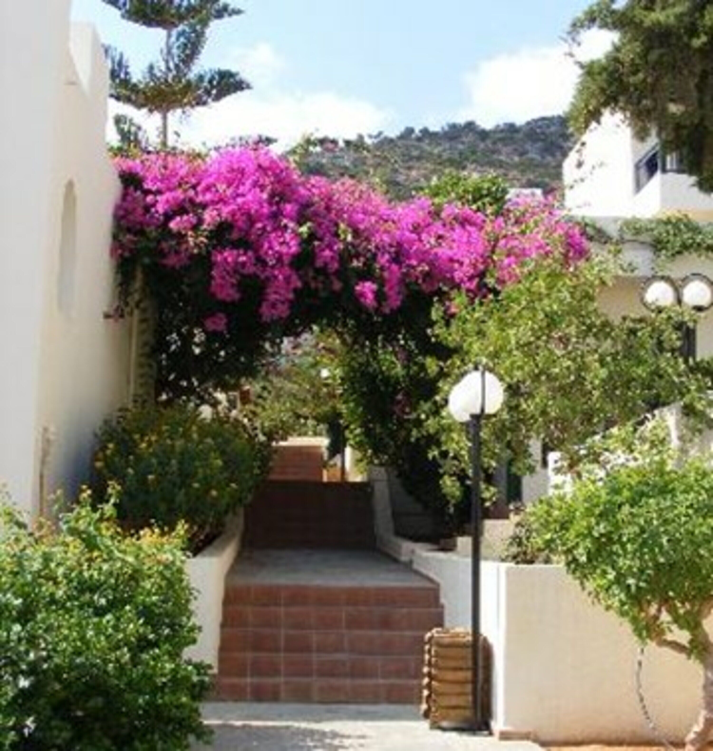 Foto - Anastasia Hotel Stalis