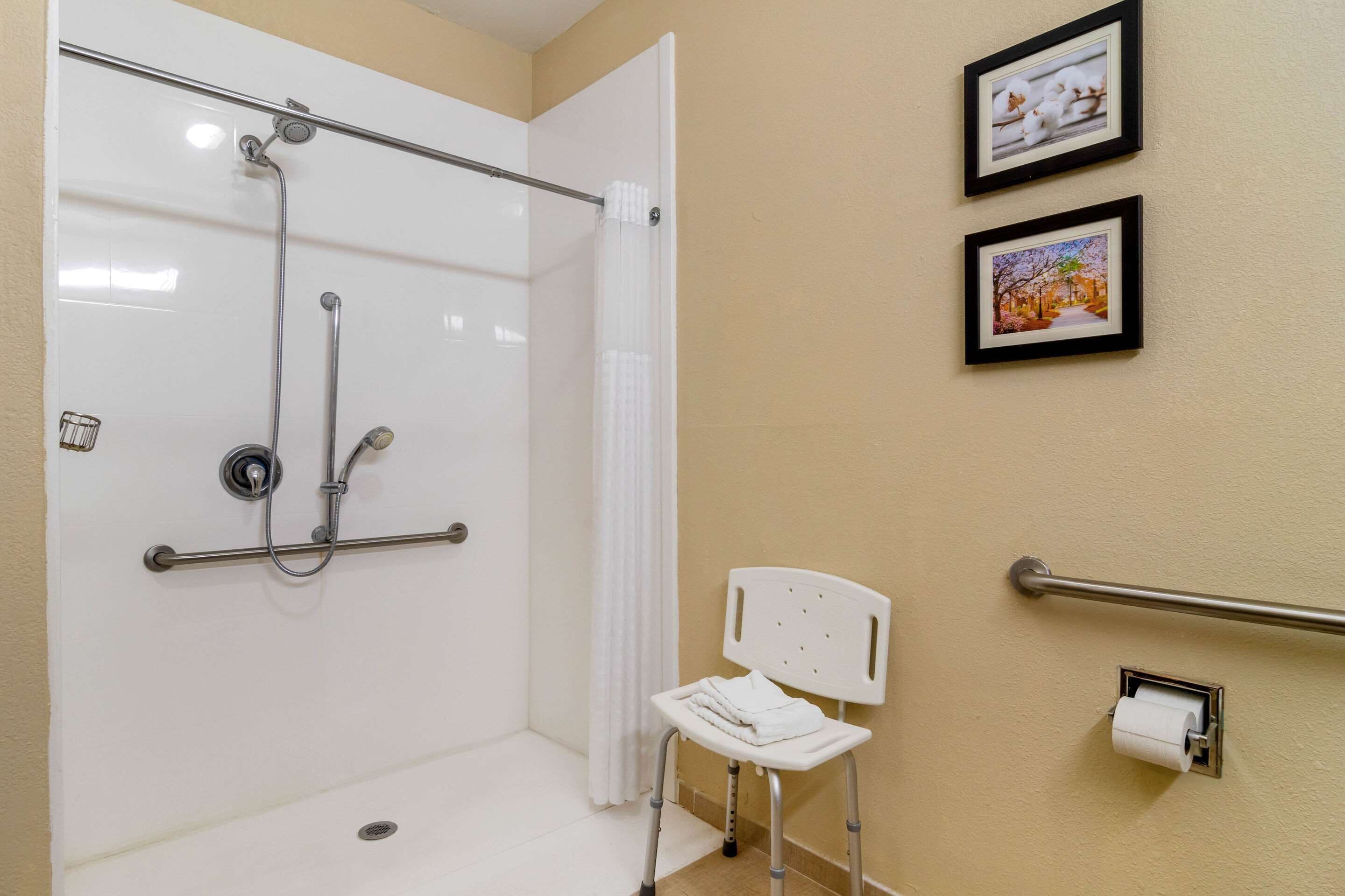 room, 1 king bed with sofa bed, accessible, non smoking | bathroom | combined shower/bathtub, free toiletries, hair dryer, towels