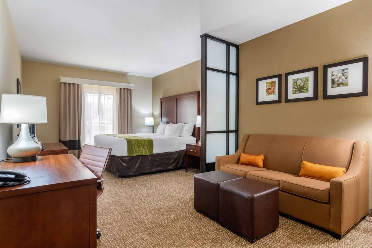 Habitación de hotel con cama, sofá, escritorio con lámpara y cuadros en la pared.