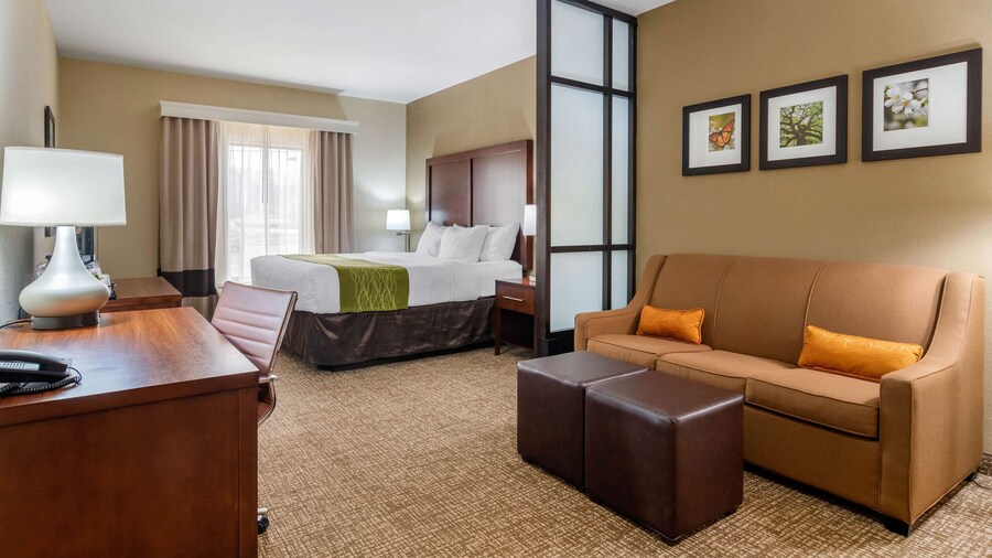 Comfort Inn & Suites Griffin North