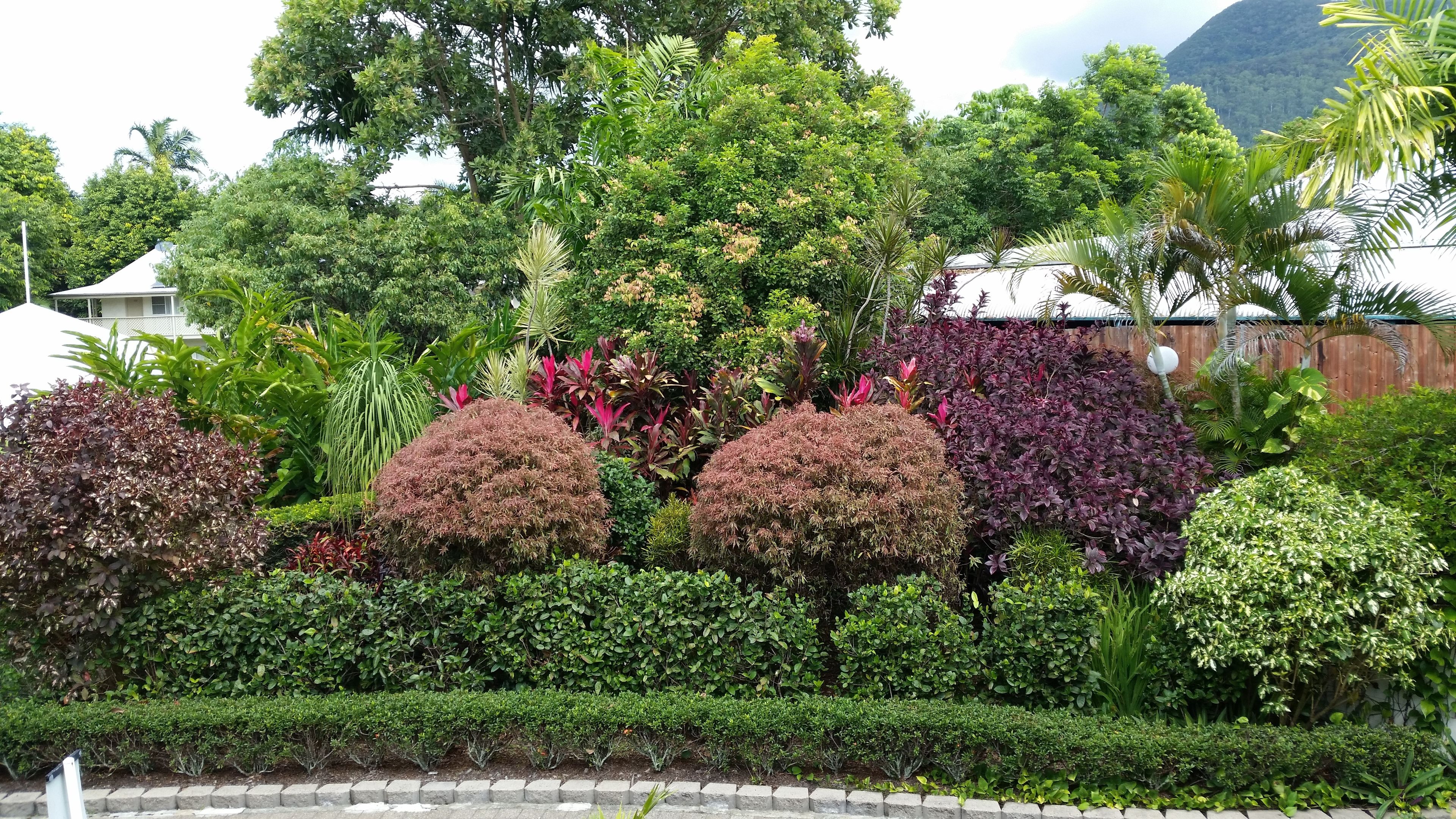 Foto - Cairns Gateway Resort