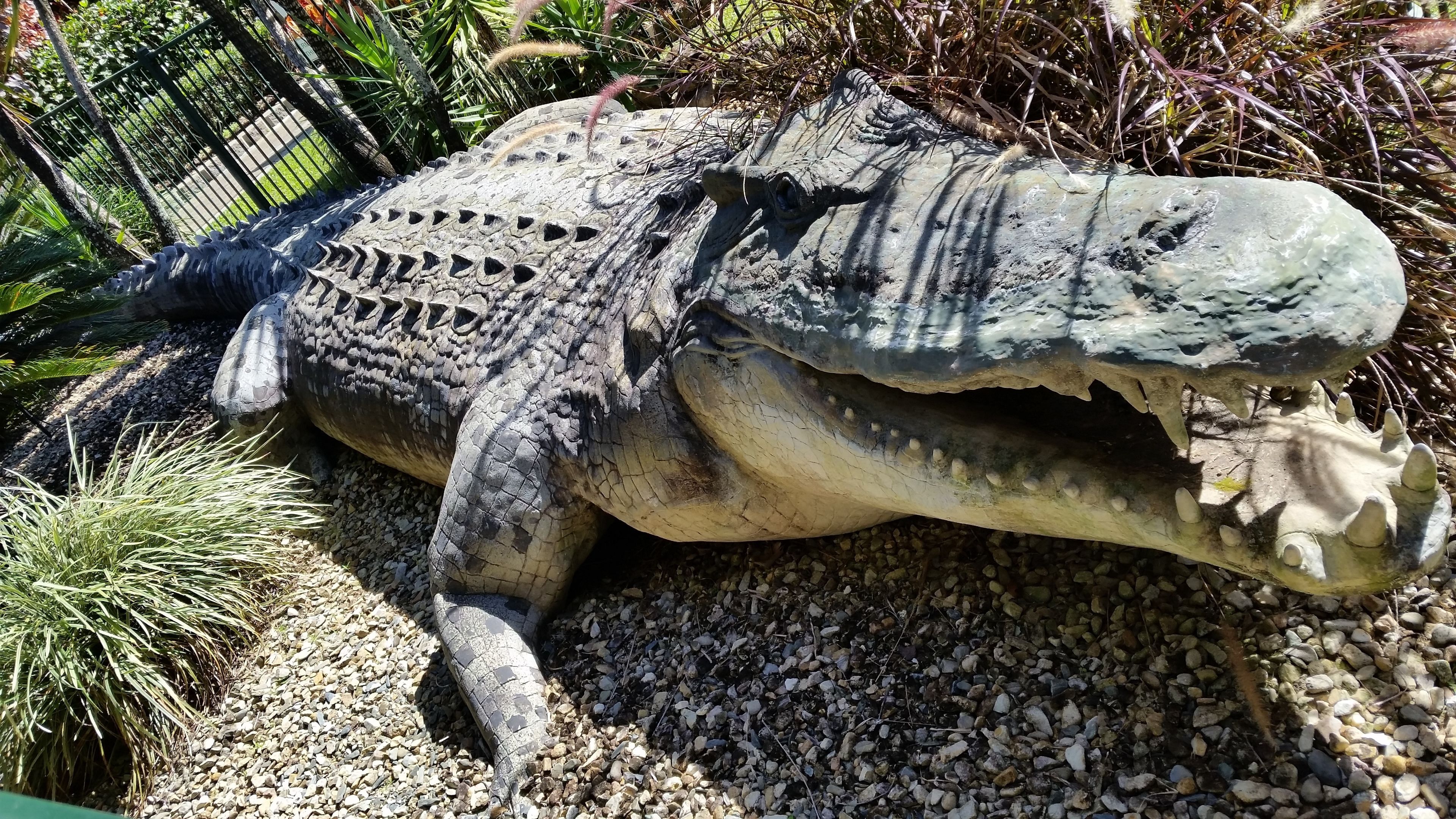 Foto - Cairns Gateway Resort