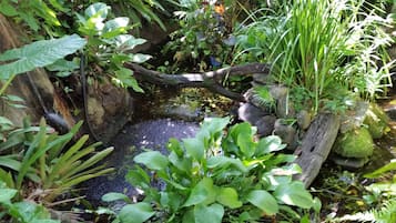 Fountain