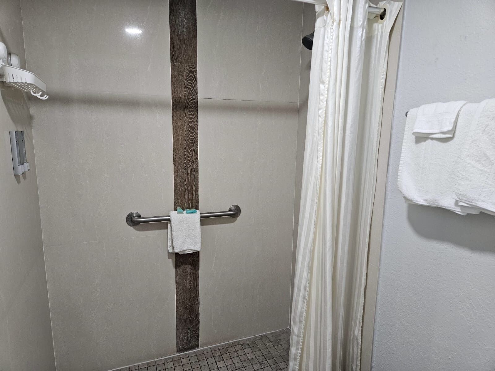 Zona de dutxa amb porta de vidre, penjador de tovalloles i una tovallola blanca a la paret.