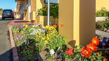 Jardin
