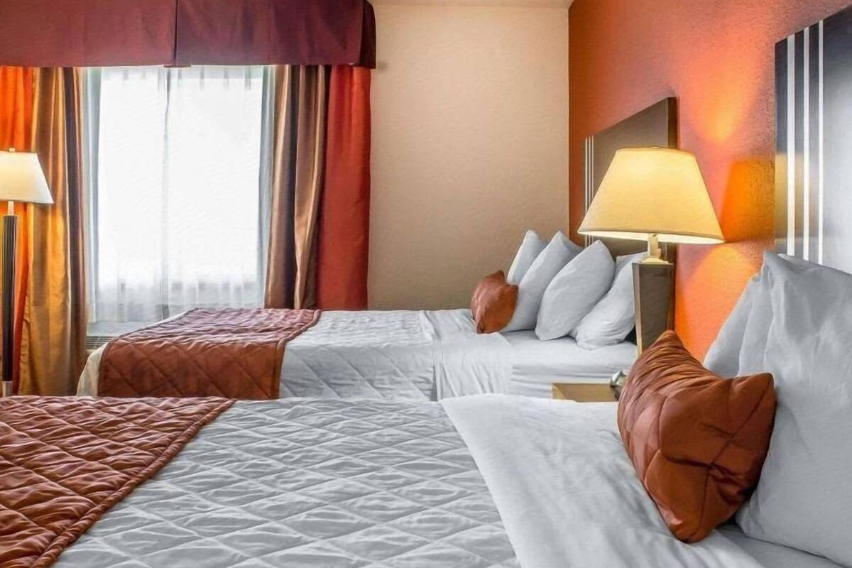 Iron/ironing board, WiFi (free), bed sheets