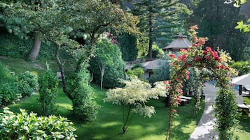 Vườn