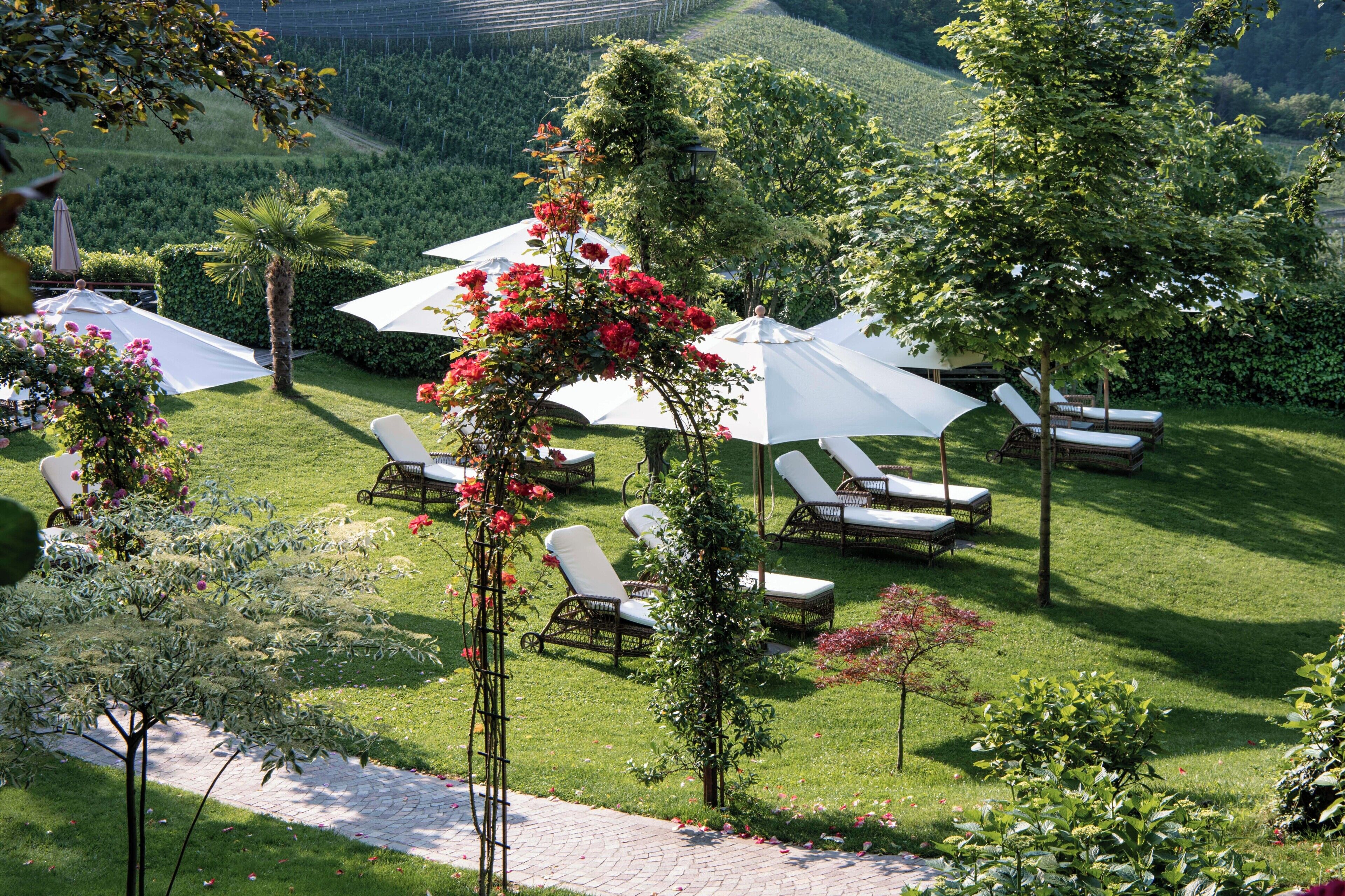 Ein Garten mit weißen Sonnenschirmen, Liegestühlen und einem gepflasterten Weg.