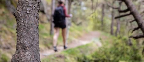 Sendero boscoso para excursionistas, con una persona a lo lejos.