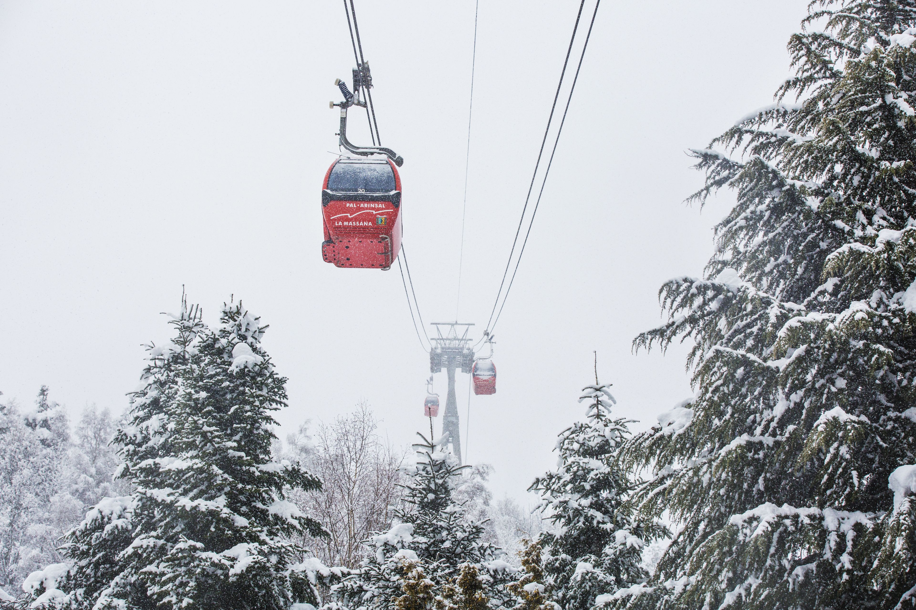 Um sistema de teleférico em uma floresta coberta de neve.