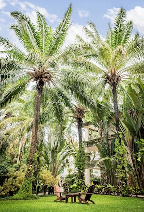Garden - Casa Colonial Beach & Spa (Puerto Plata)
