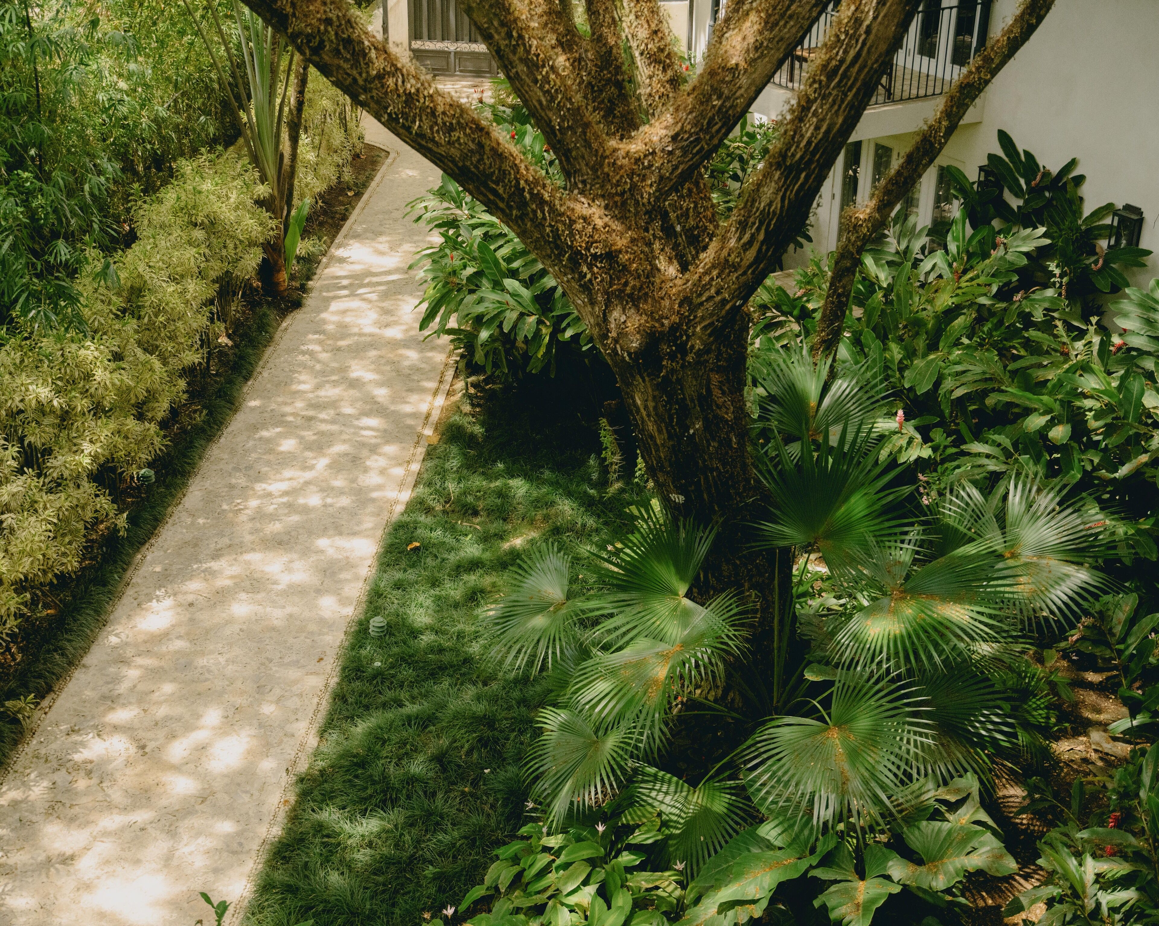 Foto - Casa Colonial Beach & Spa