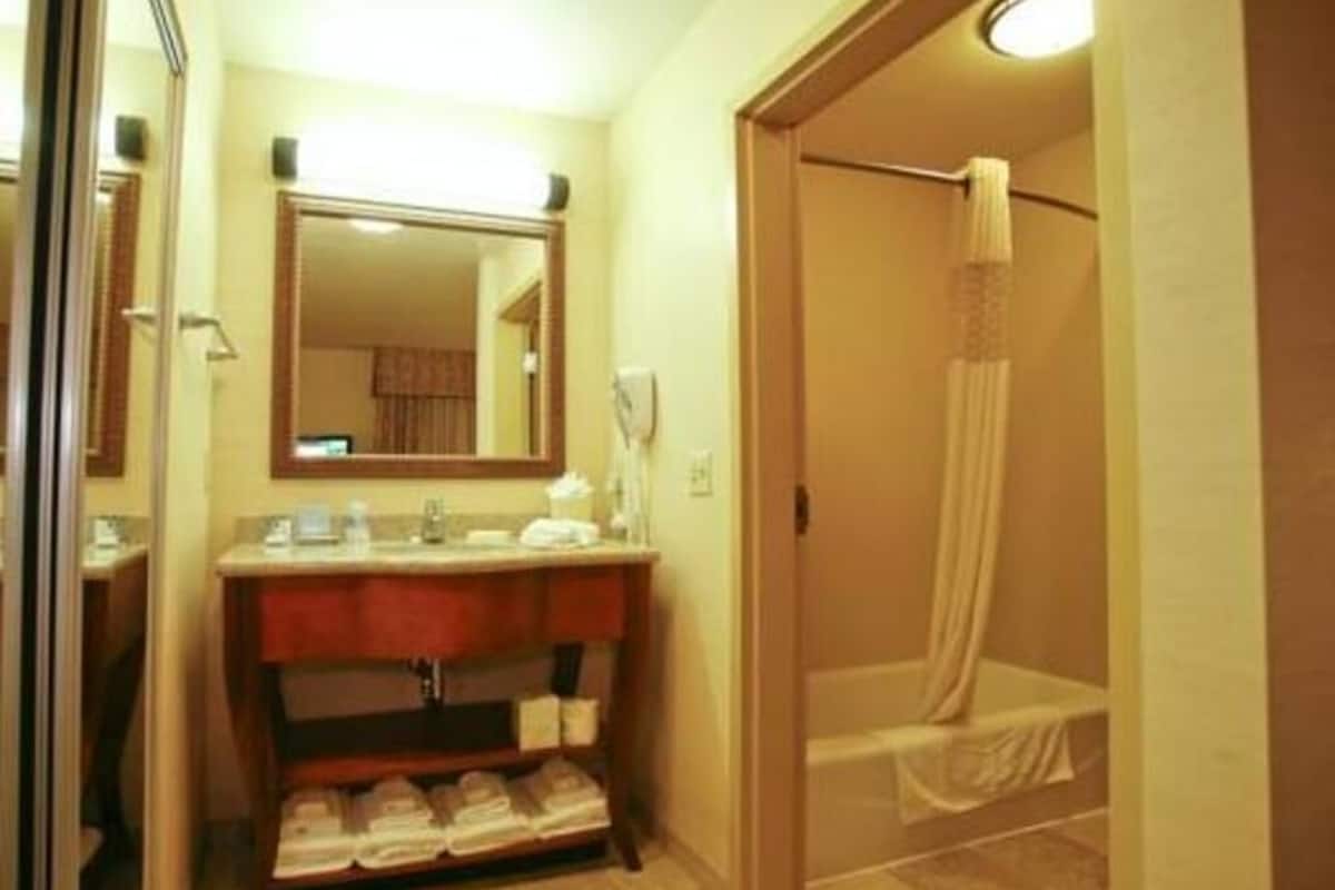 Bathroom | Combined shower/bathtub, hydromassage showerhead, free toiletries