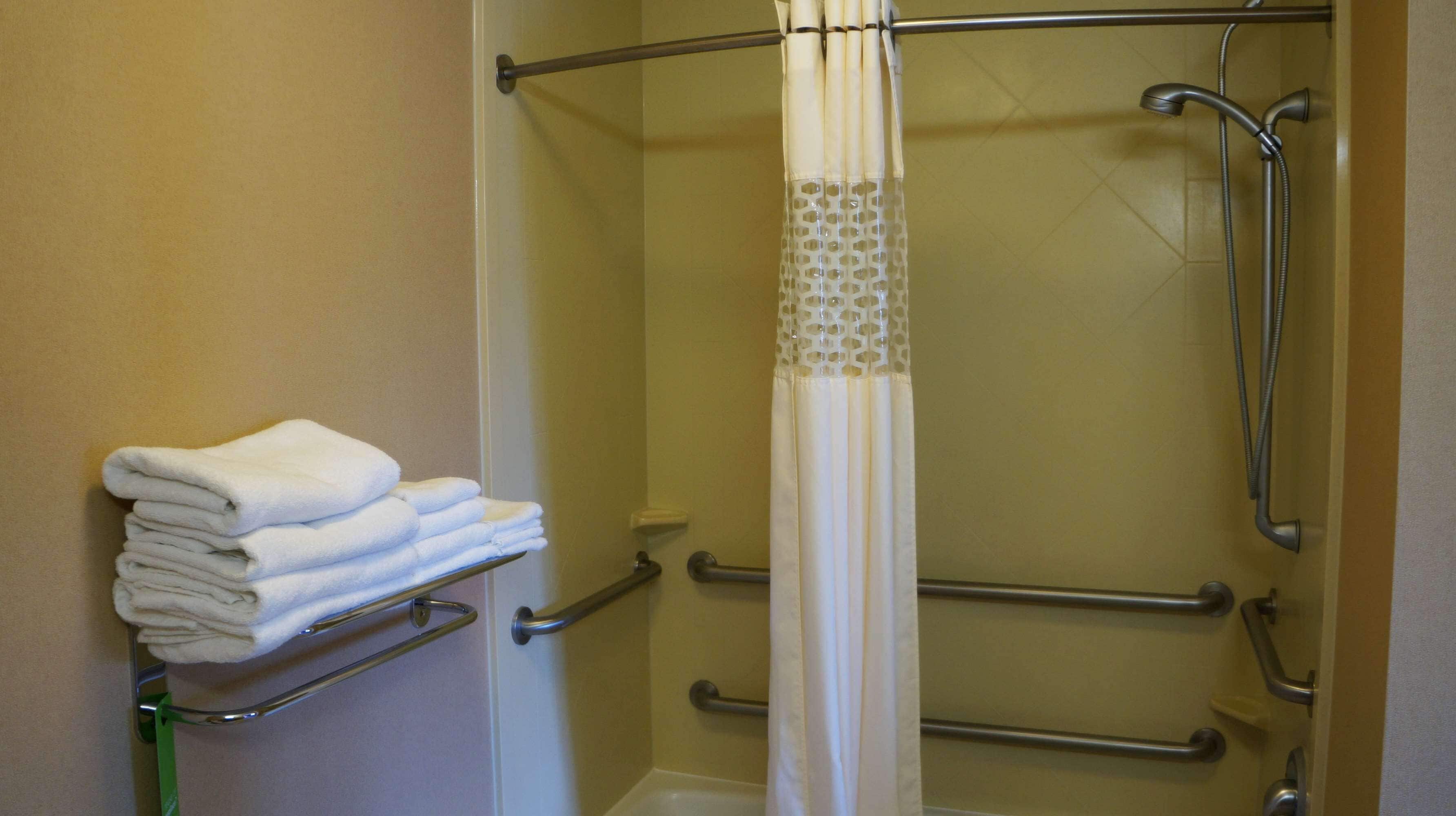 room, 1 king bed, accessible | bathroom | combined shower/bathtub, hydromassage showerhead, free toiletries