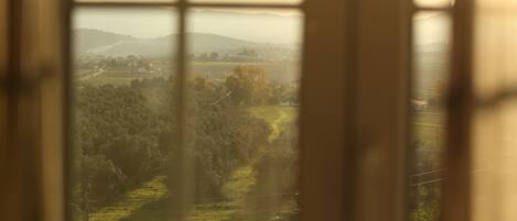 A view through a window with a grid pattern, displaying a rural landscape with fields, trees, and distant hills.
