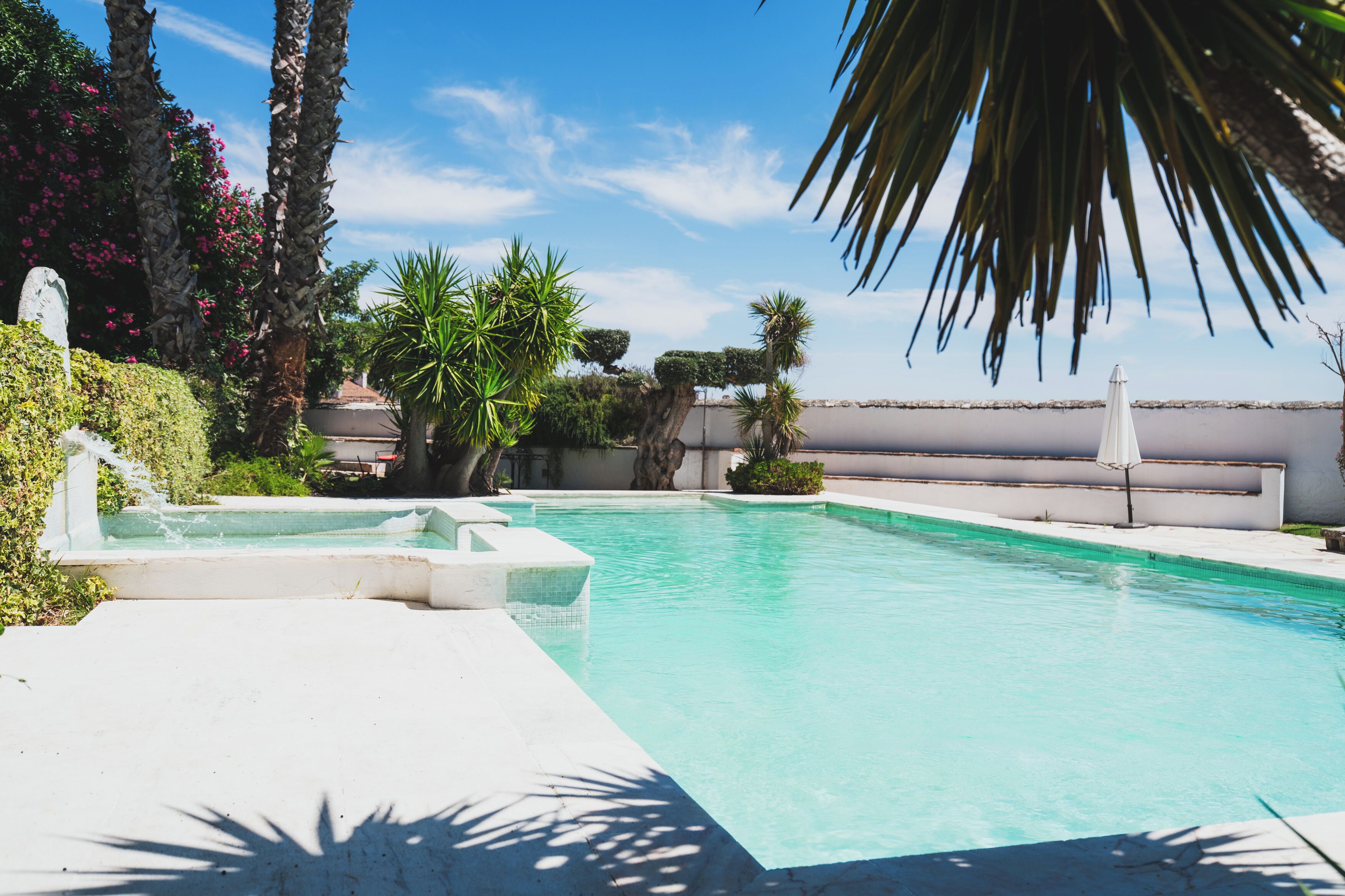 A swimming pool with clear blue water, surrounded by palm trees and other greenery.