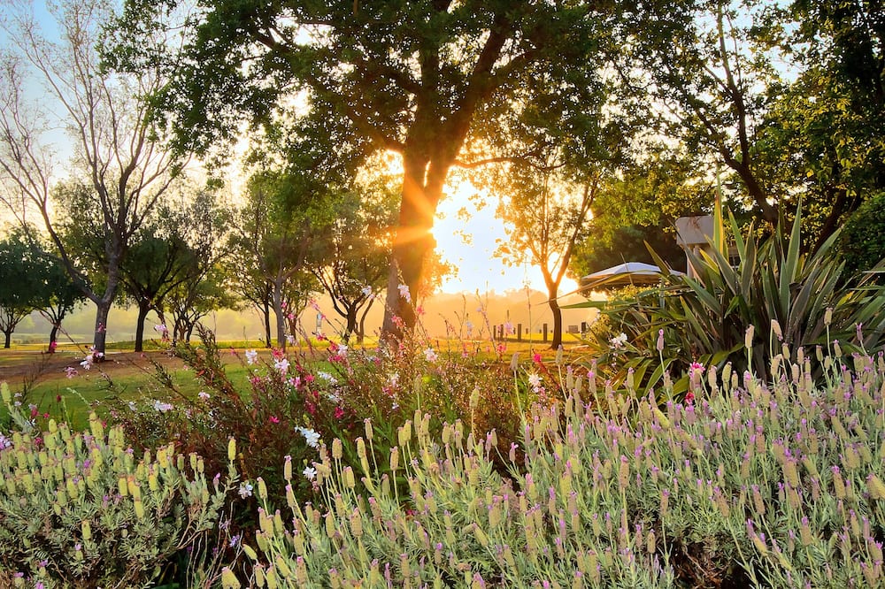 Centurion Golf Suites Boca Walk