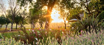 Centurion Golf Suites Boca Walk