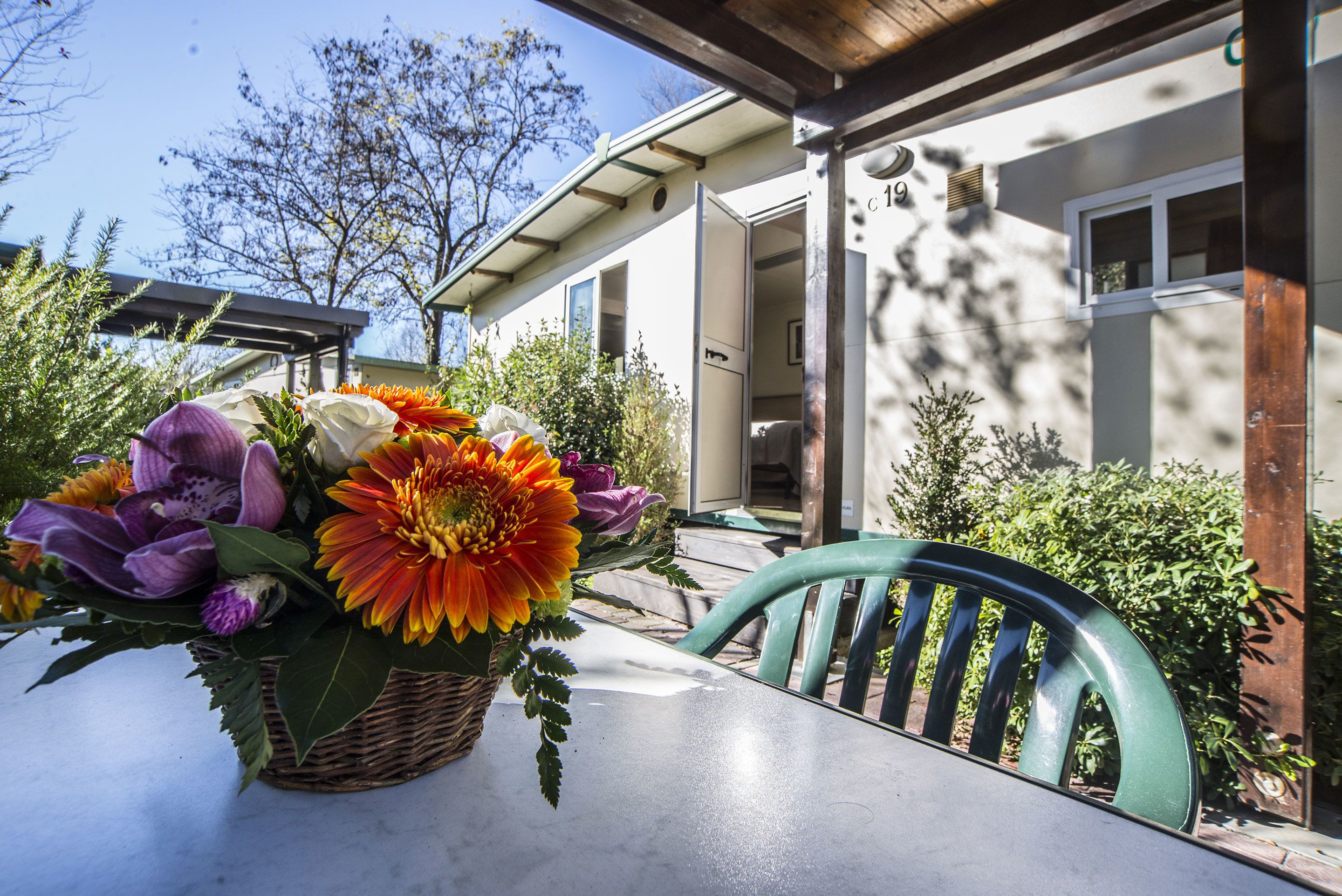 Bungalow Comfort, 1 letto matrimoniale con divano letto, angolo cottura (with Patio) | Lanai