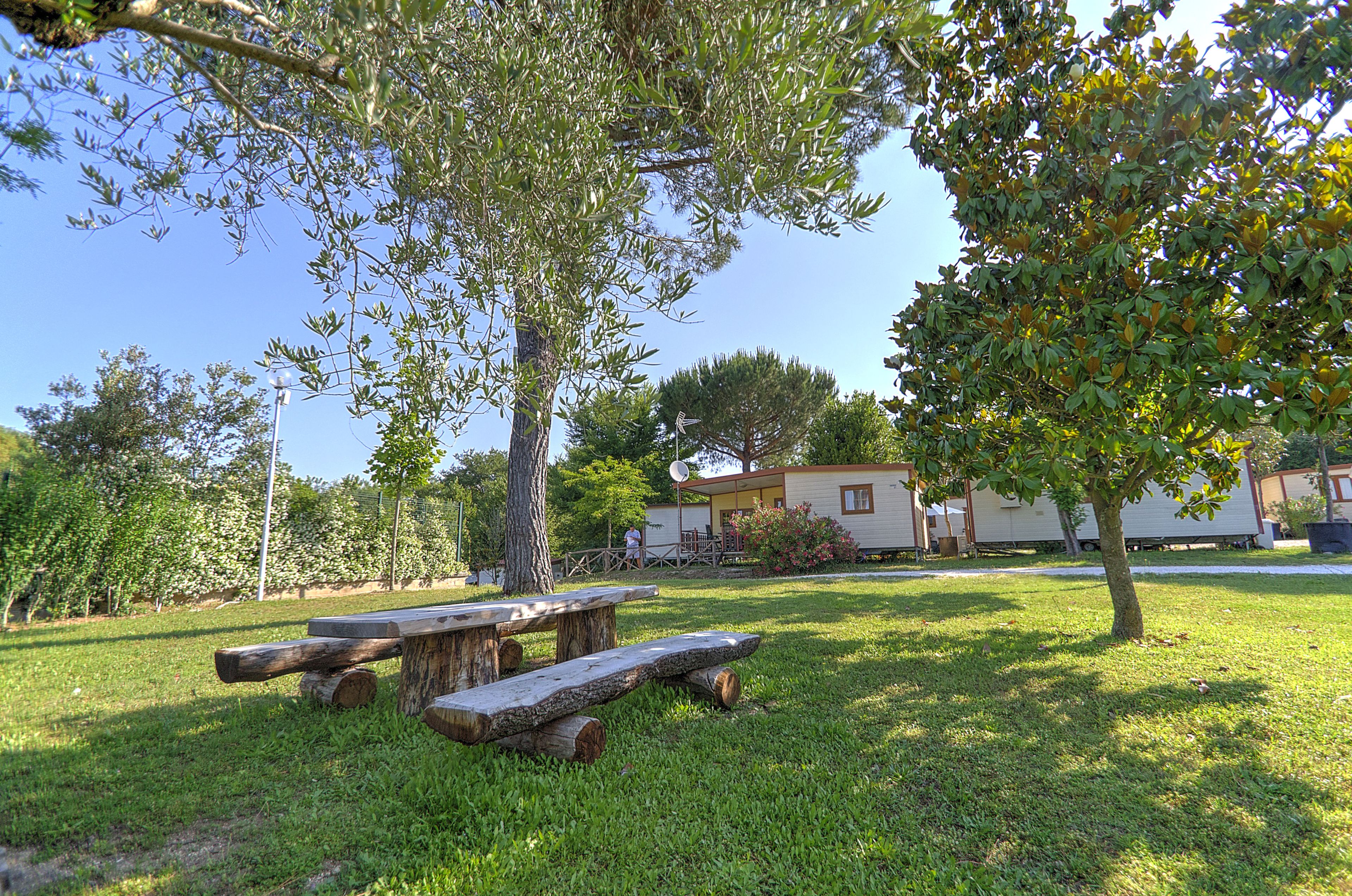 A picnic area with wooden benches and a picnic table surrounded by grass and trees.