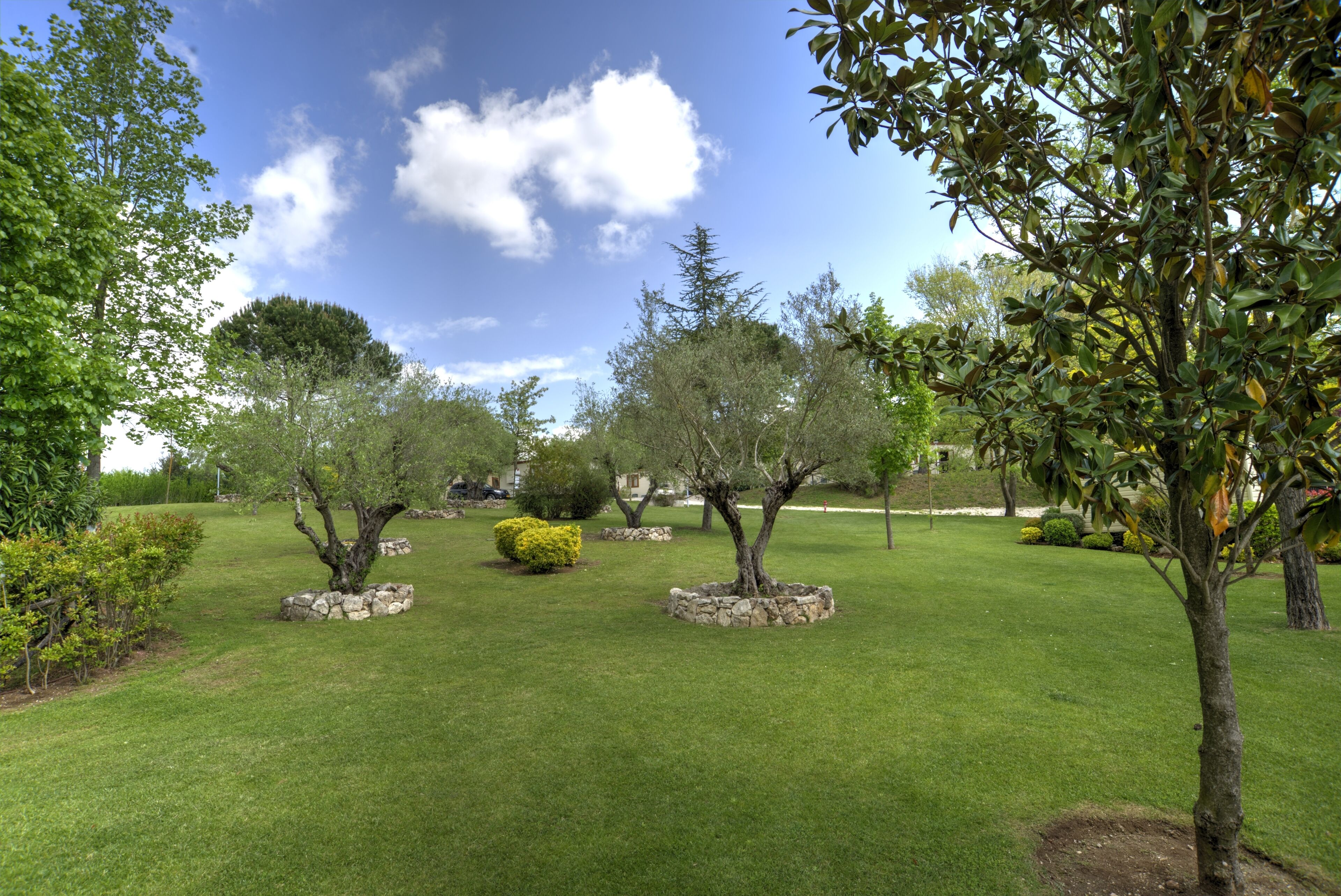 A well-maintained garden with various trees and shrubs, a clear sky, and a stone pathway.