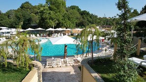Zona de piscina con sillas de descanso y sombrillas, rodeada de vegetación y árboles.