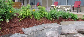 Rodeway Inn King William