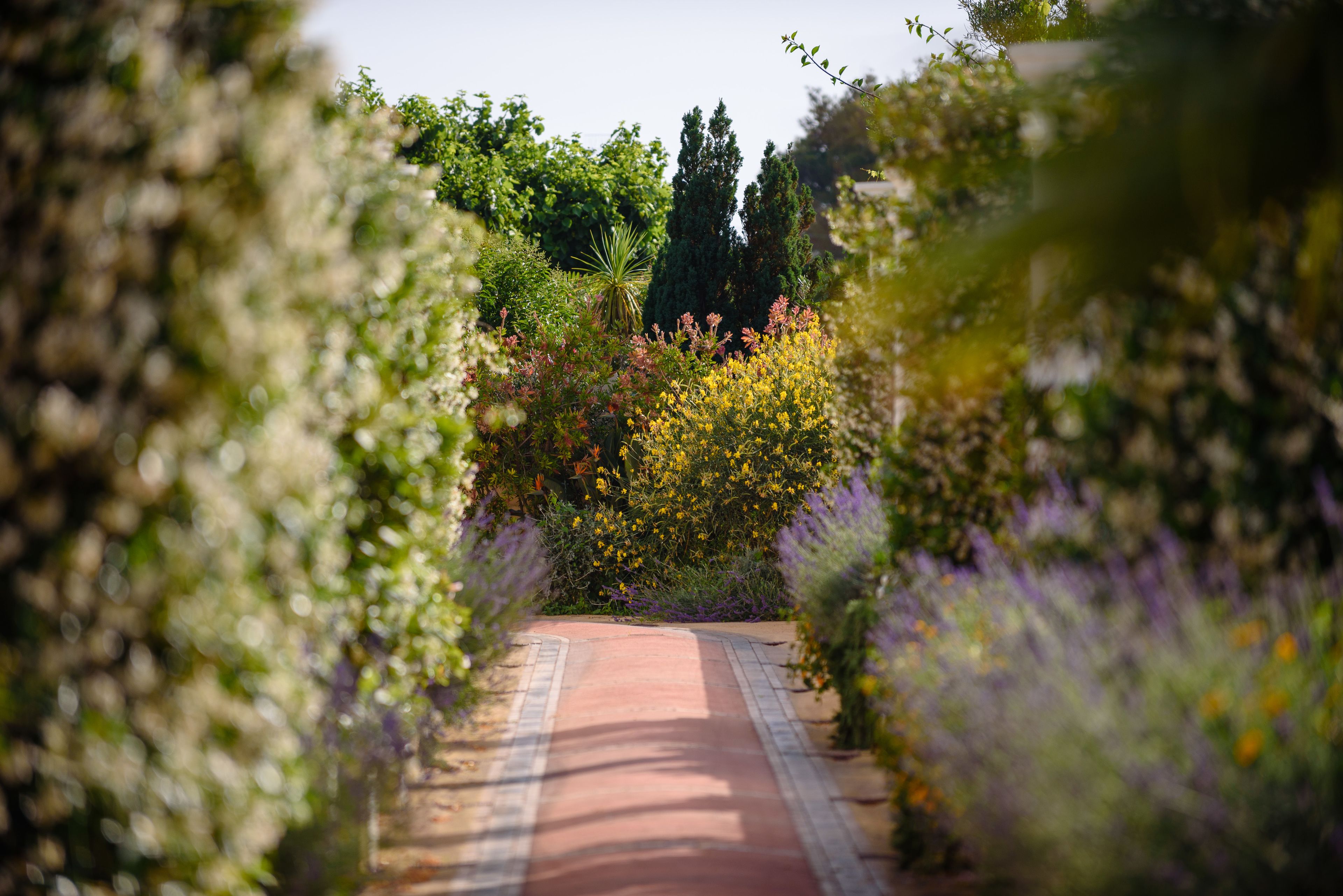 Foto - Hotel Bussola