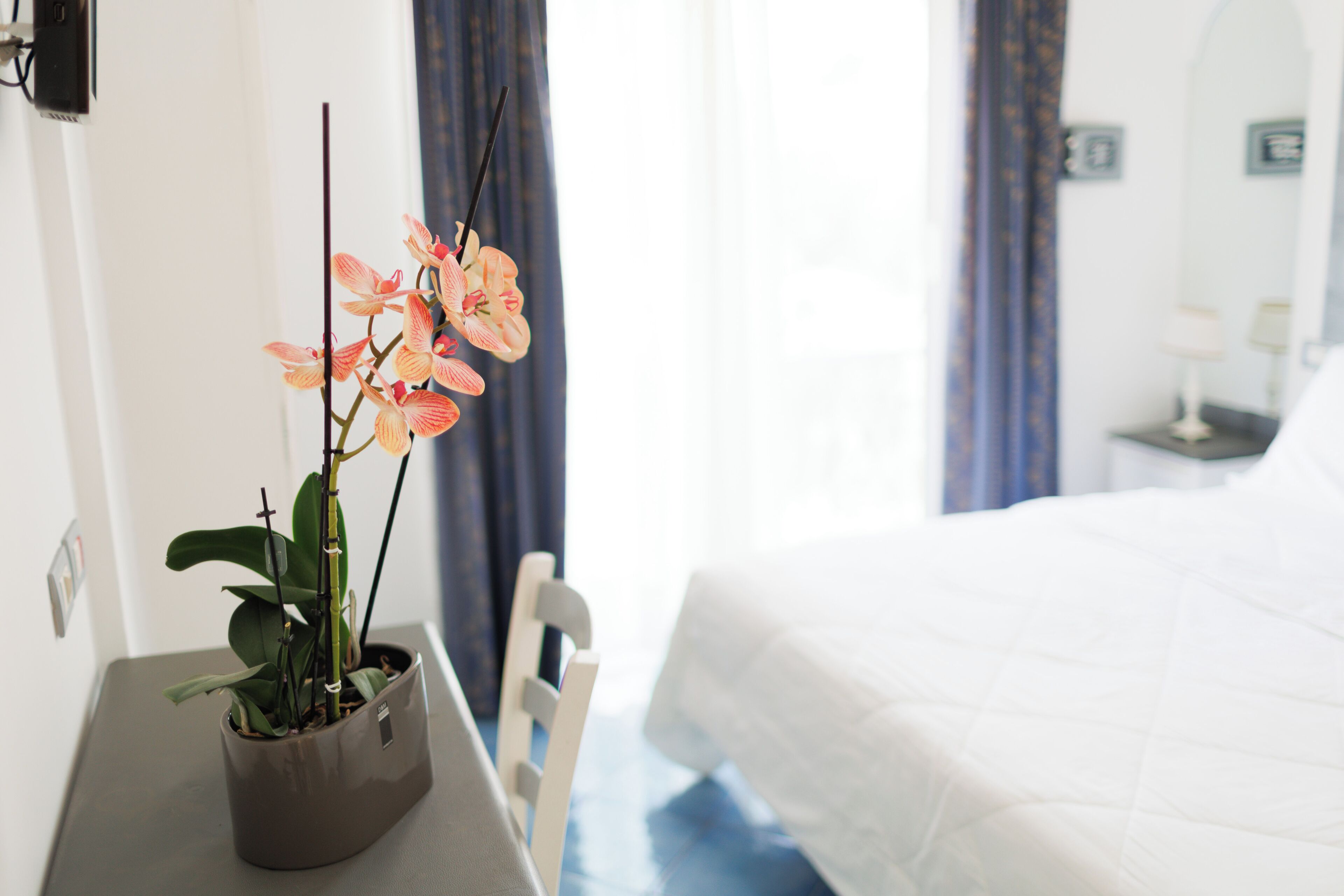 Foto - Hotel Bussola