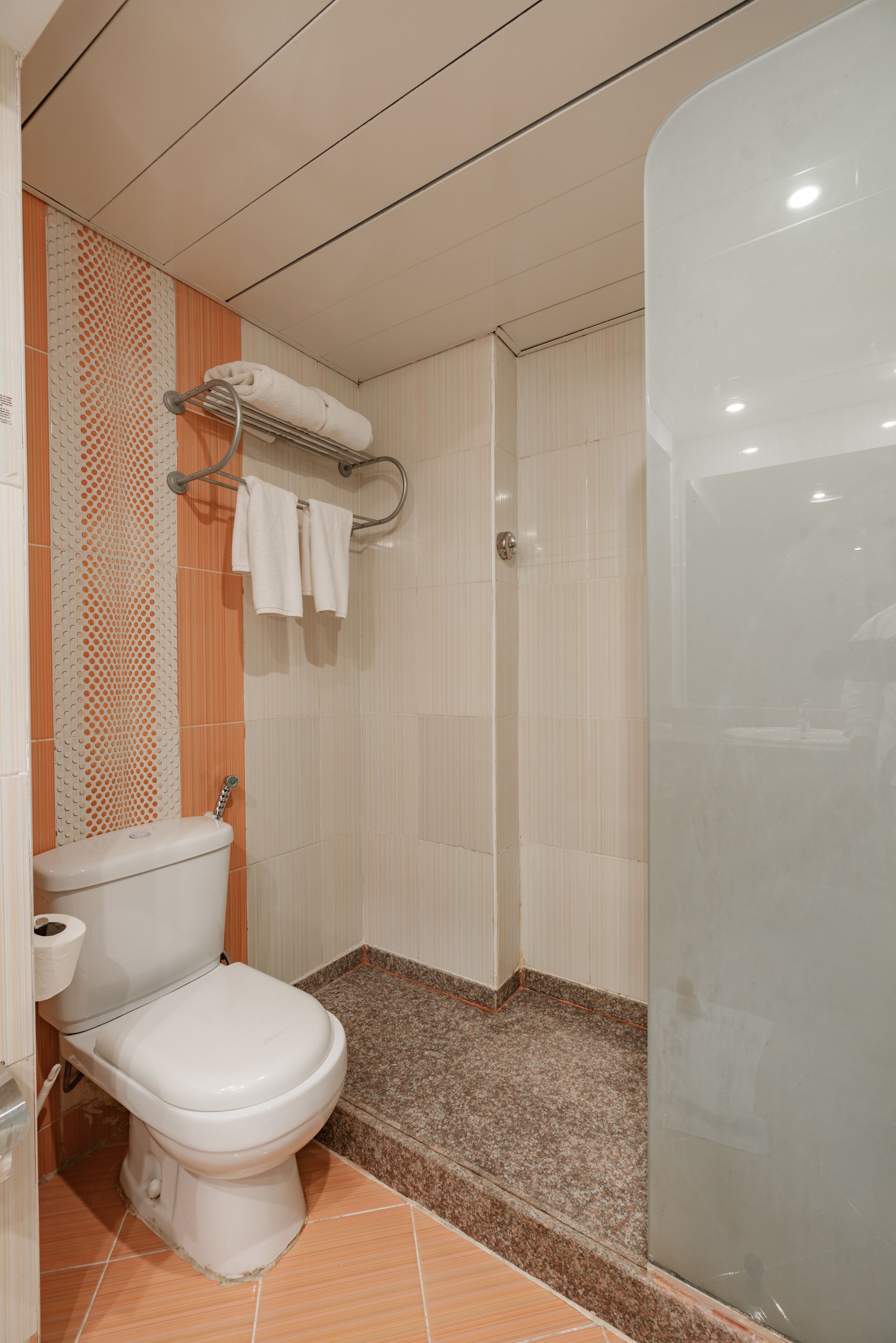 Ein Badezimmer mit Toilette, Handtuchhalter und Duschbereich.