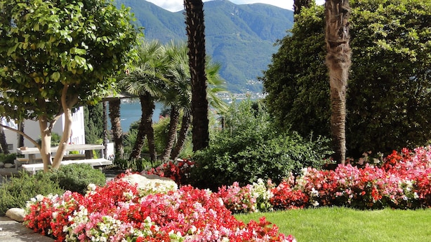 Jardin