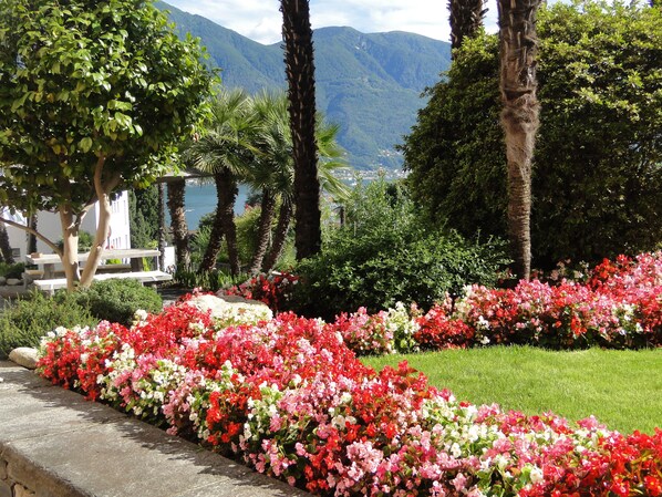 Garden - Hotel Sant'Agnese (Muralto)