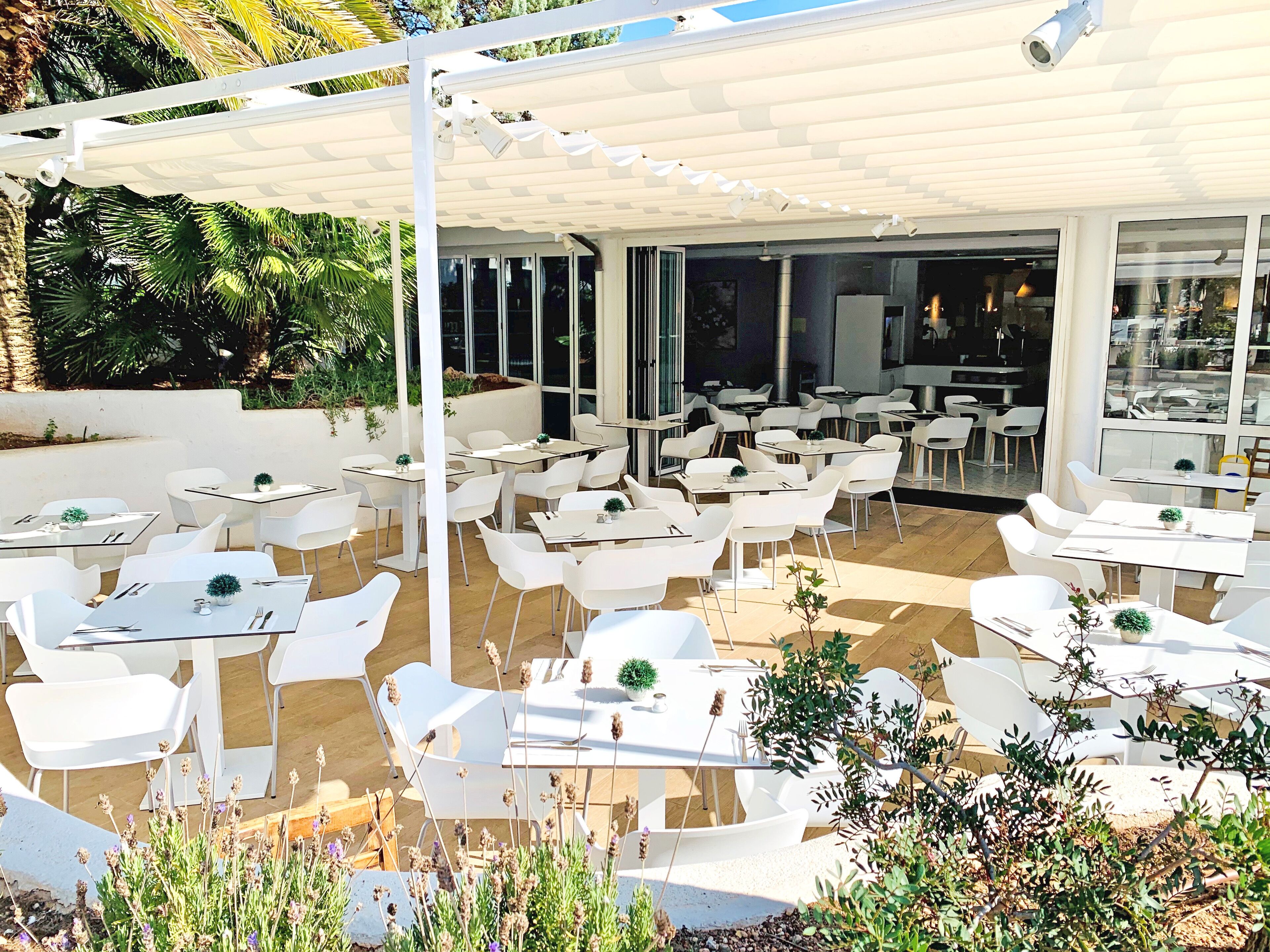 Photo - BLUESEA Club Martha's