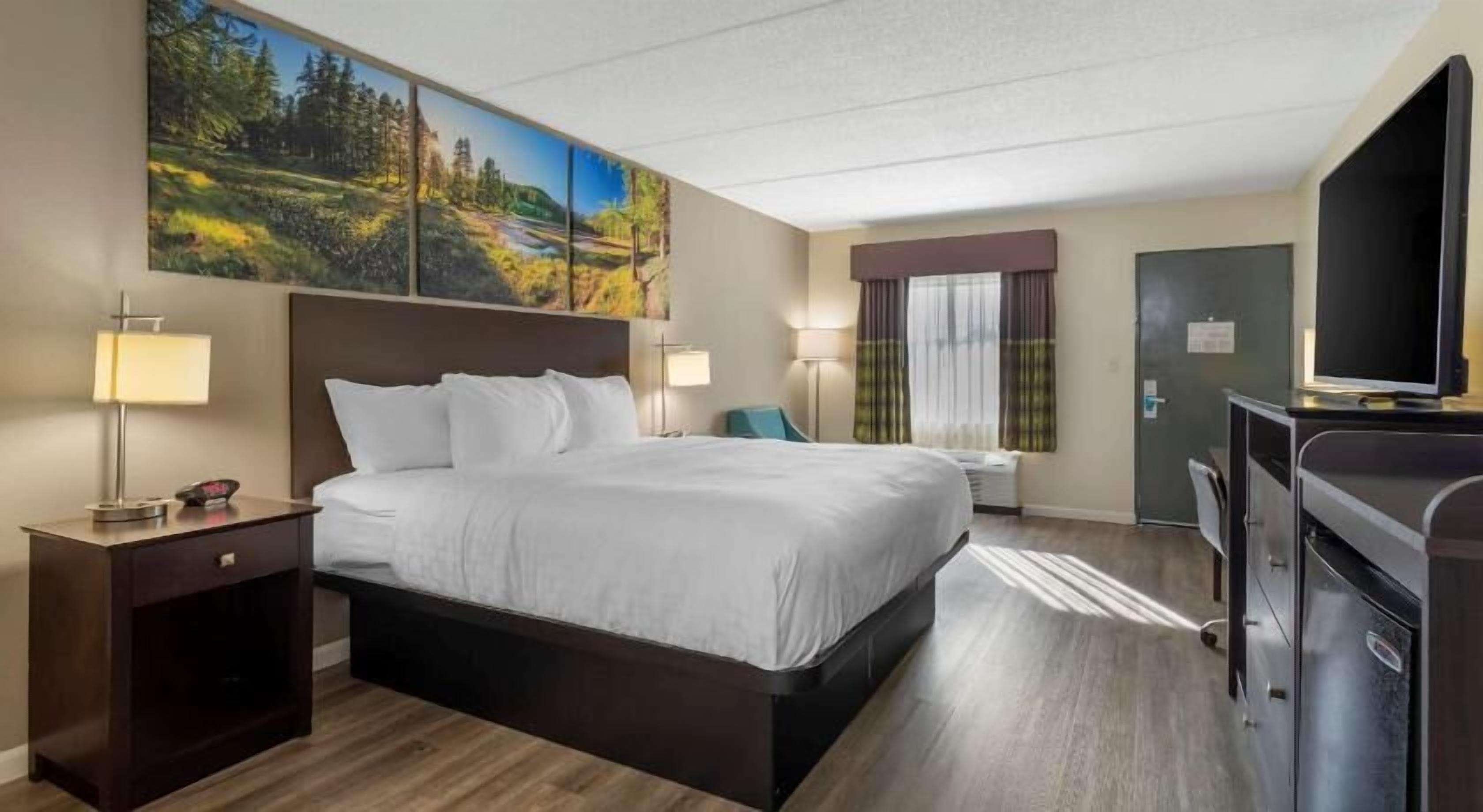 1 bedroom, desk, laptop workspace, blackout drapes