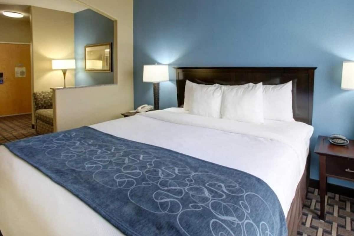 A hotel room with a bed, a nightstand, a lamp, and a chair.