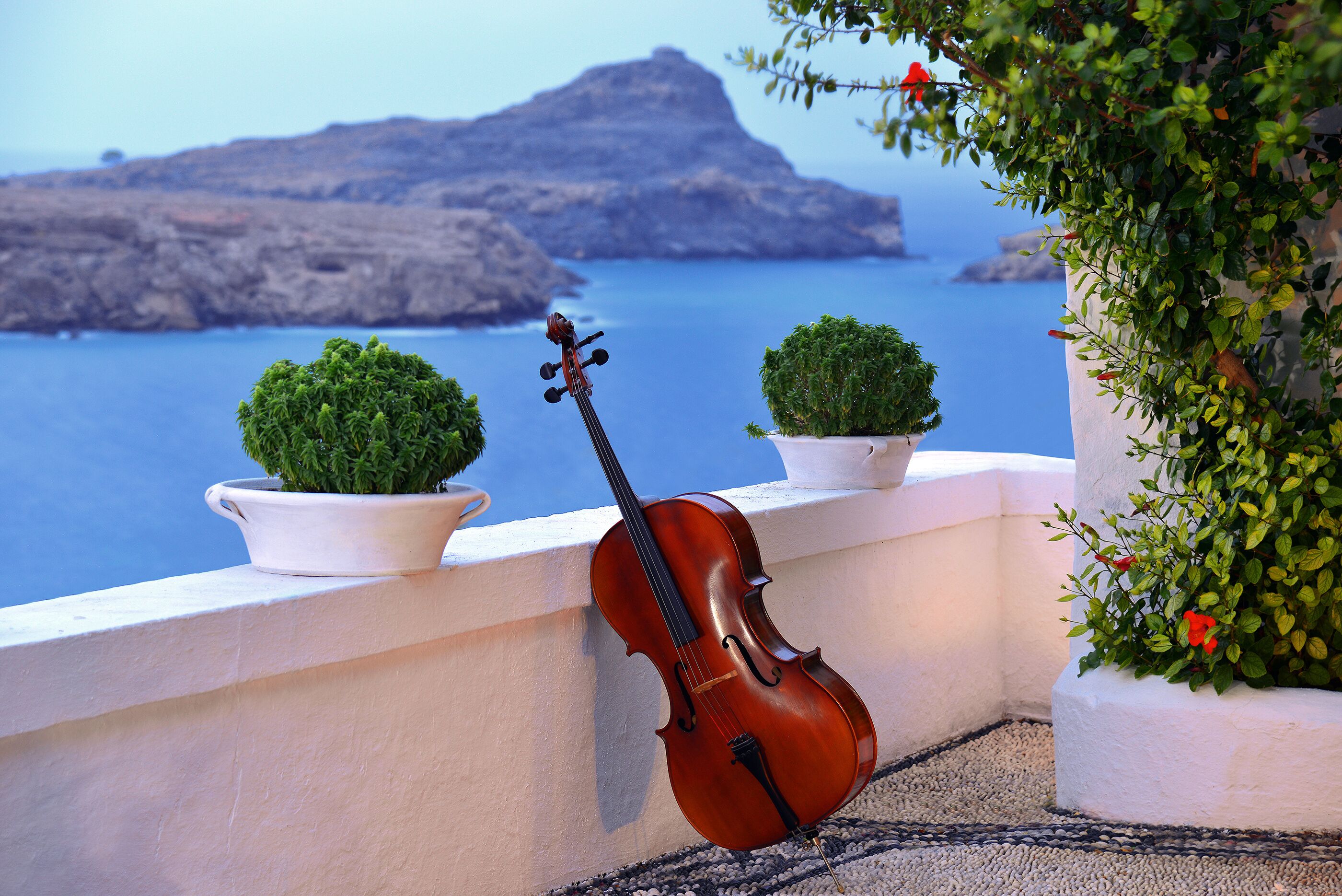 Eine Violine, an eine weiße Brüstung gelehnt, mit Blick auf das Meer und eine felsige Landschaft im Hintergrund.