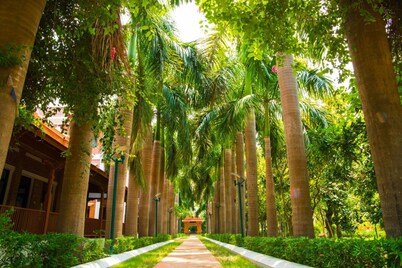 Buddha Maya by KGH Group