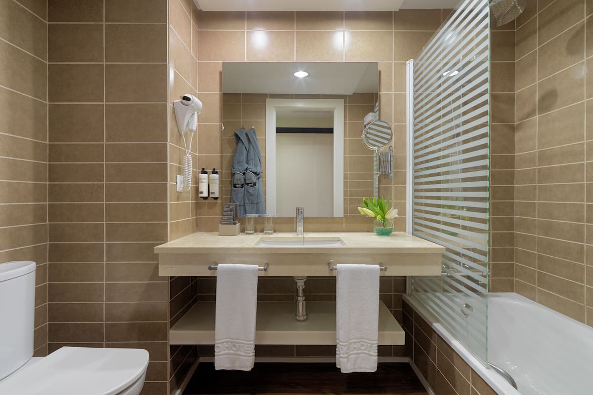 shower, hair dryer, bidet, towels