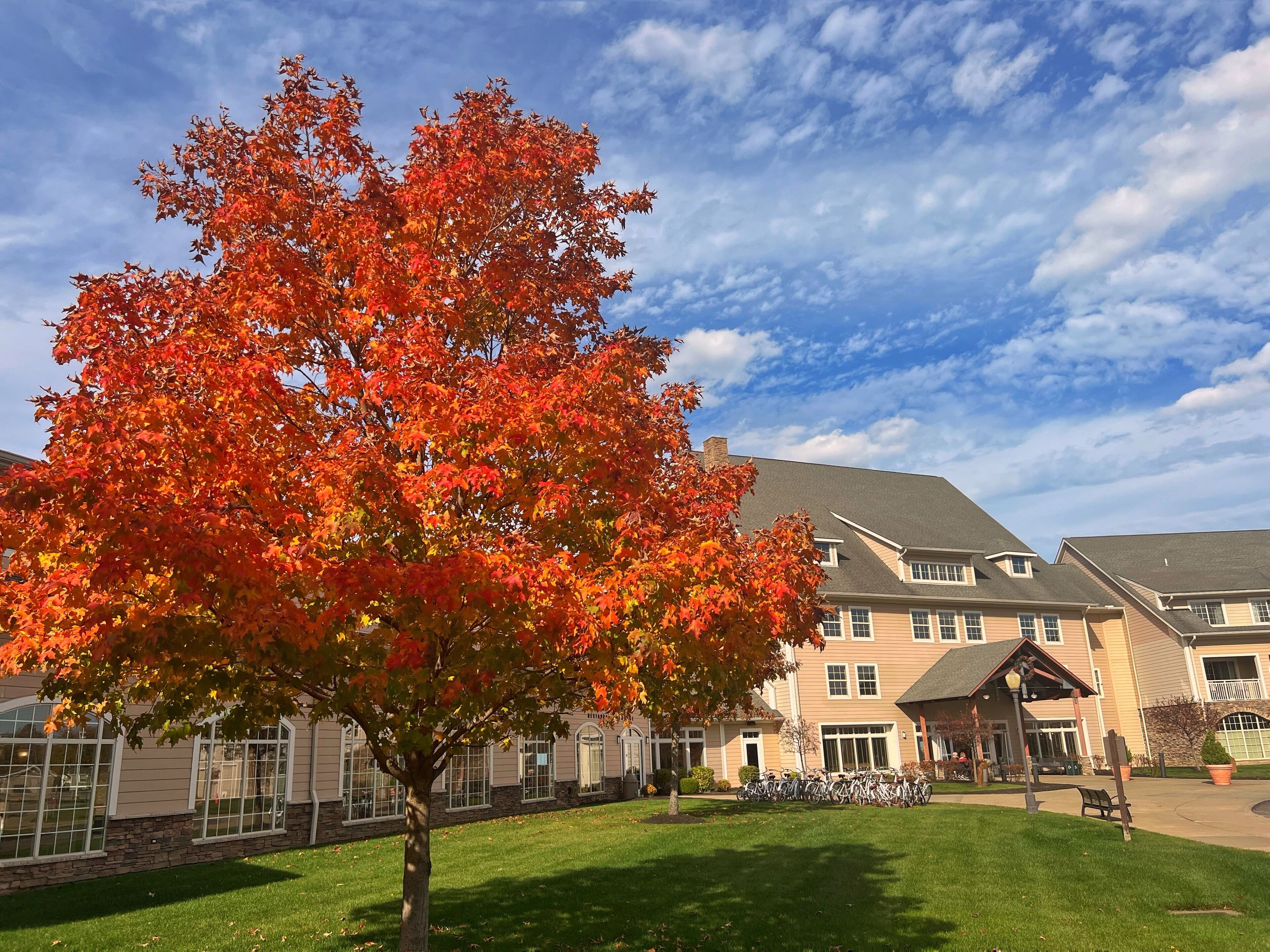 A tree with autumn leaves in front of a building with multiple windows and a covered patio area.