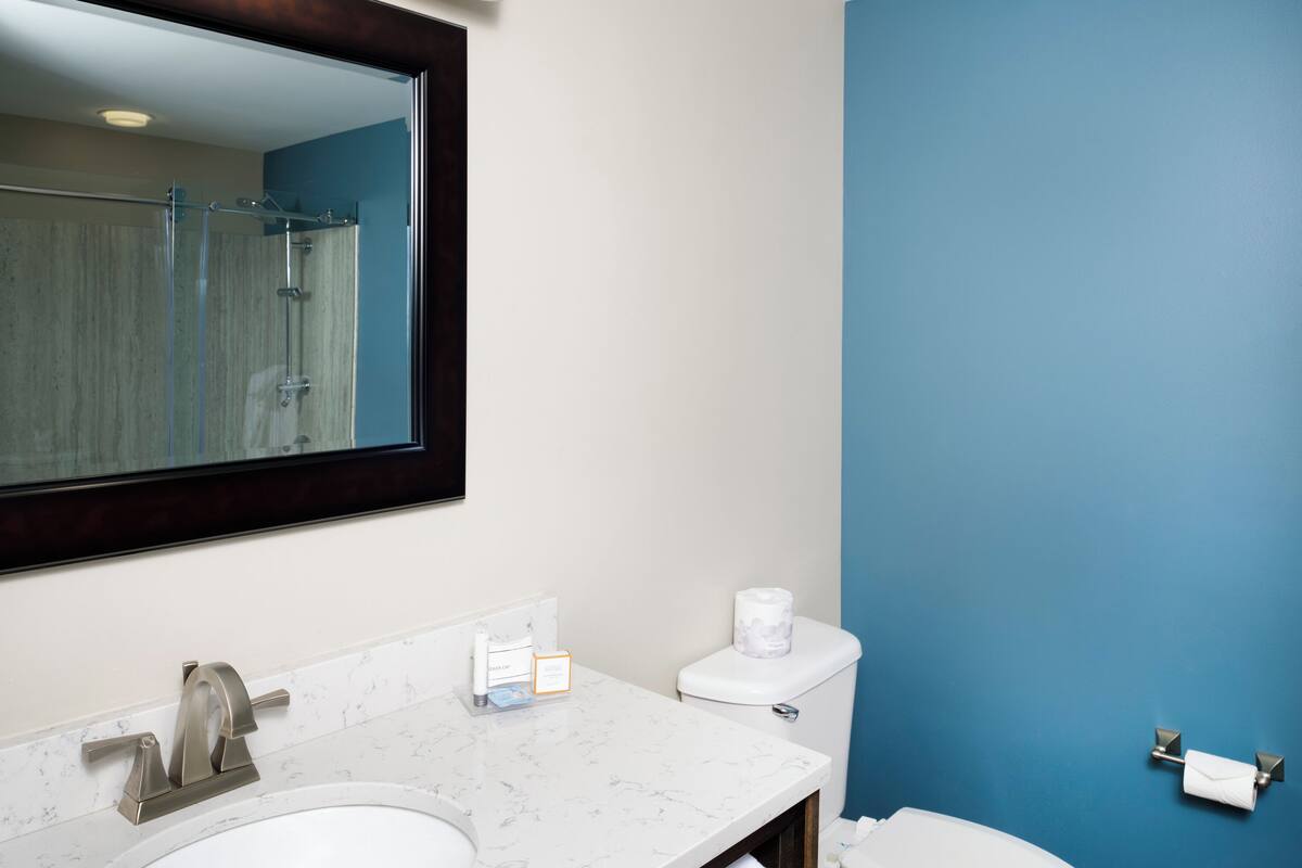 suite, 1 king bed | bathroom | hair dryer, towels