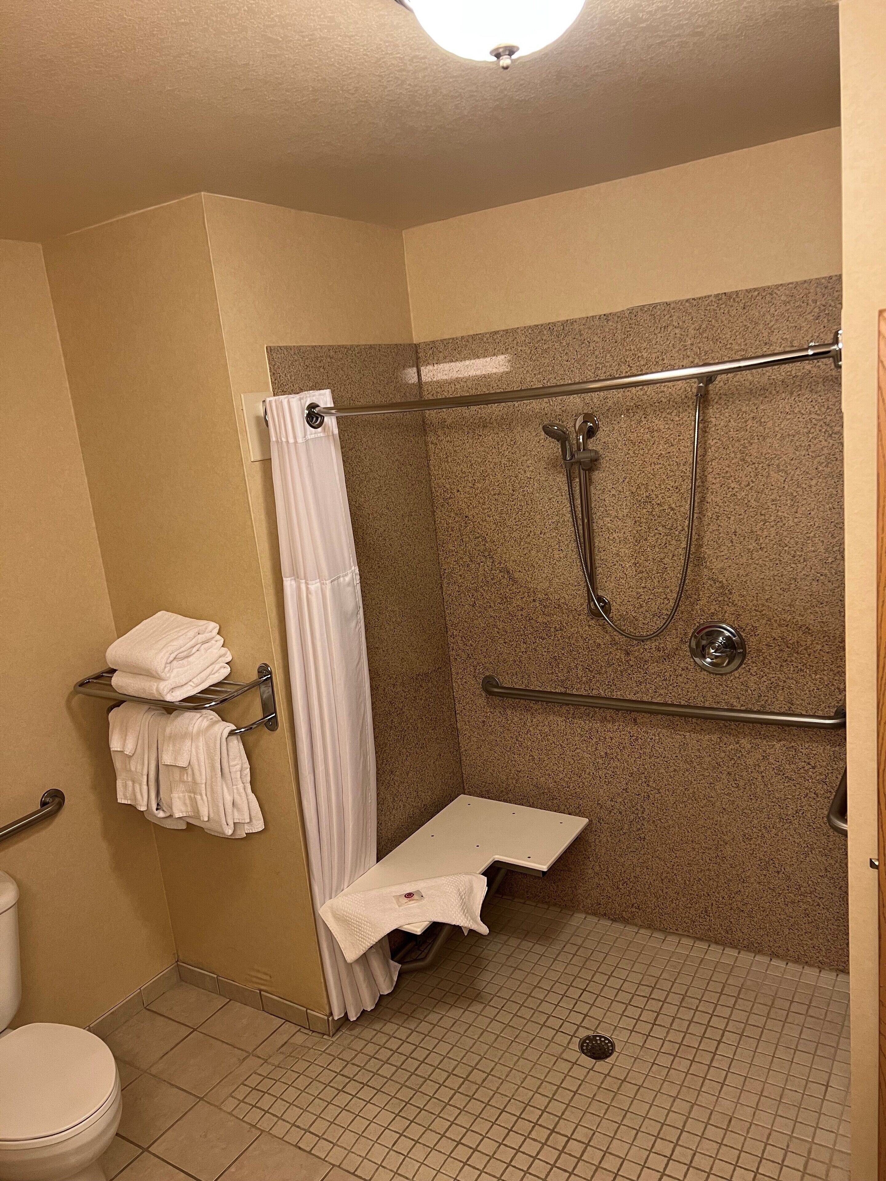 A small, enclosed shower area with a grab bar, a towel rack, and a toilet.