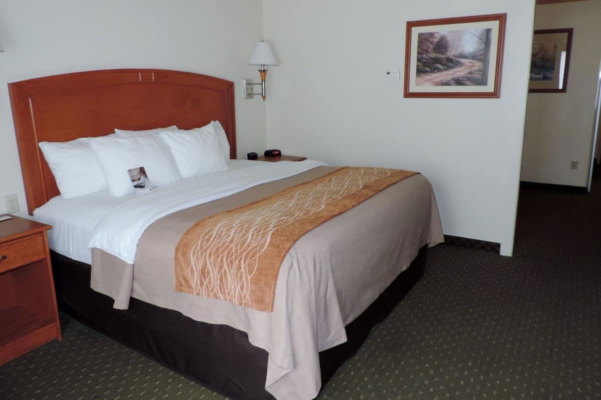 Desk, iron/ironing board, free cribs/infant beds, free rollaway beds