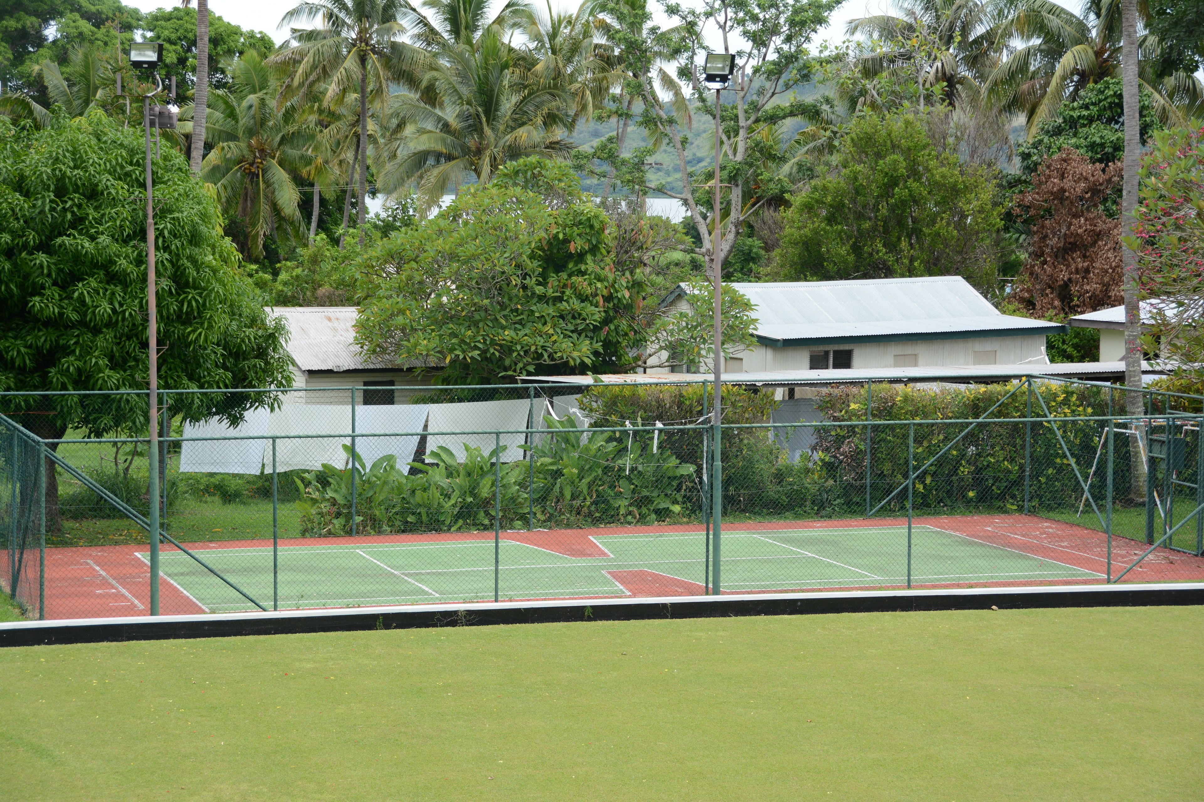 Un court de tennis doté d’une surface verte, entouré d’une clôture métallique et d’une végétation luxuriante, notamment des palmiers et d’autres plantes tropicales.