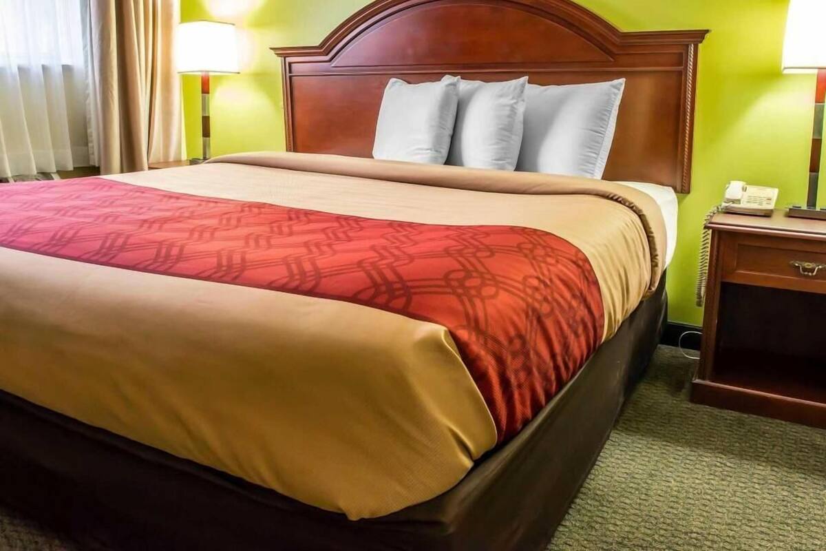 Una habitación de hotel con una cama grande, dos lámparas de noche, un cabecero de madera y un cuadro en la pared.