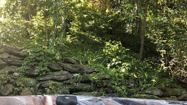 A hot spring with clear water, surrounded by lush greenery and rocks. - Jackson House B&B (Railroad)