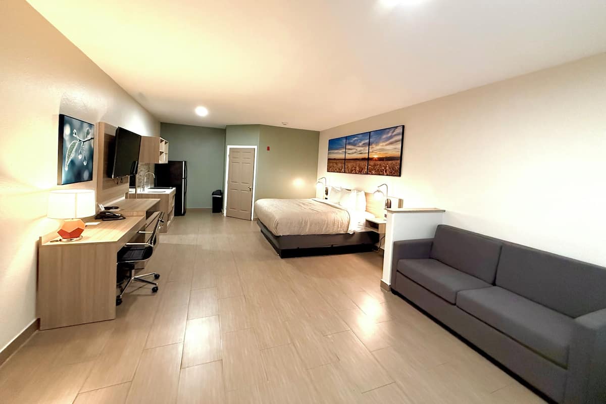 Une chambre d’hôtel avec un lit, un canapé, un bureau avec une lampe, une télévision et un tableau au mur.