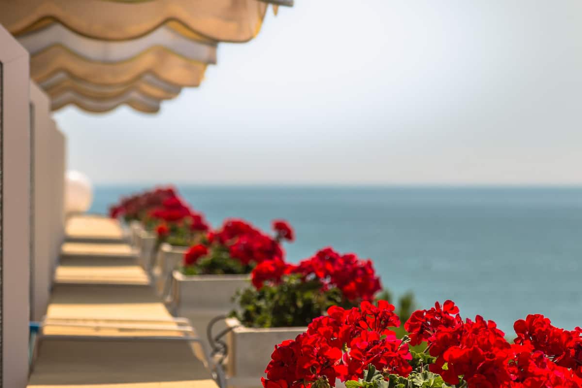 Ein Balkon mit roten Blumen und Blick auf das Meer.