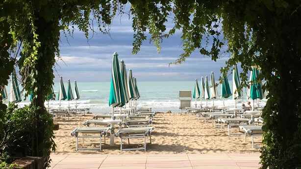 Een strand met rijen ligbedden en parasols, met zand en de oceaan op de achtergrond.