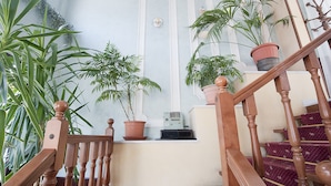 Una escalera con barandillas de madera, plantas en macetas y un pequeño dispositivo electrónico en la plataforma.